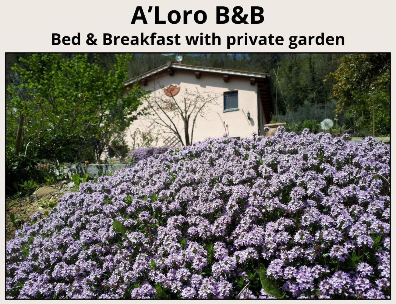 A'Loro B&B Terranuova Bracciolini Extérieur photo