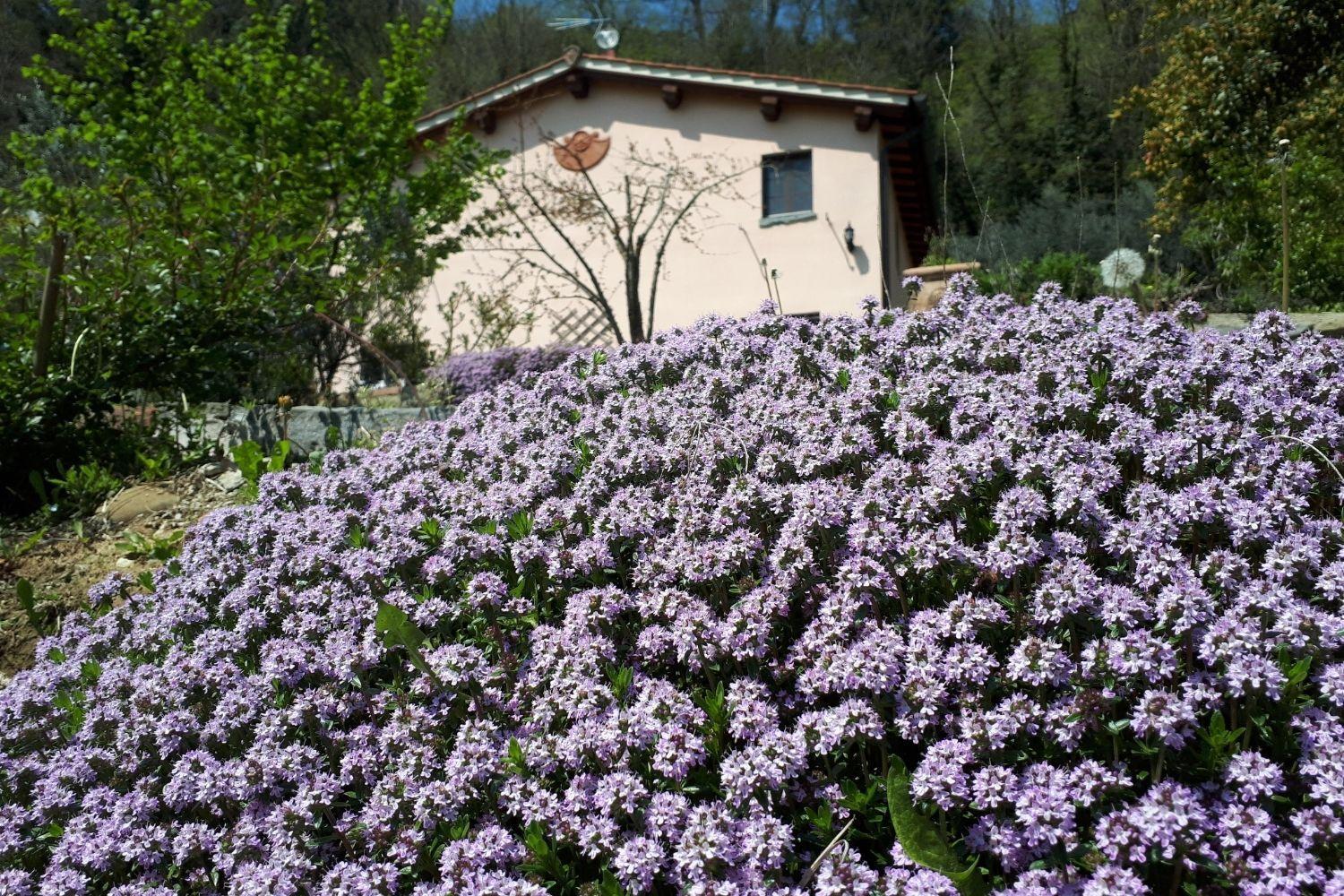 A'Loro B&B Terranuova Bracciolini Extérieur photo